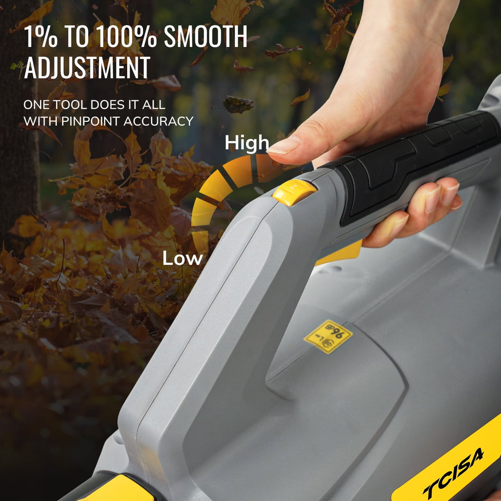 Vecukty 20V Cordless Leaf Blower with 4000mAh Battery and Charger, Lightweight Handheld Leaf Blower Cordless, 450CFM 160MPH Power for Yard, Lawn, Garage & Garden